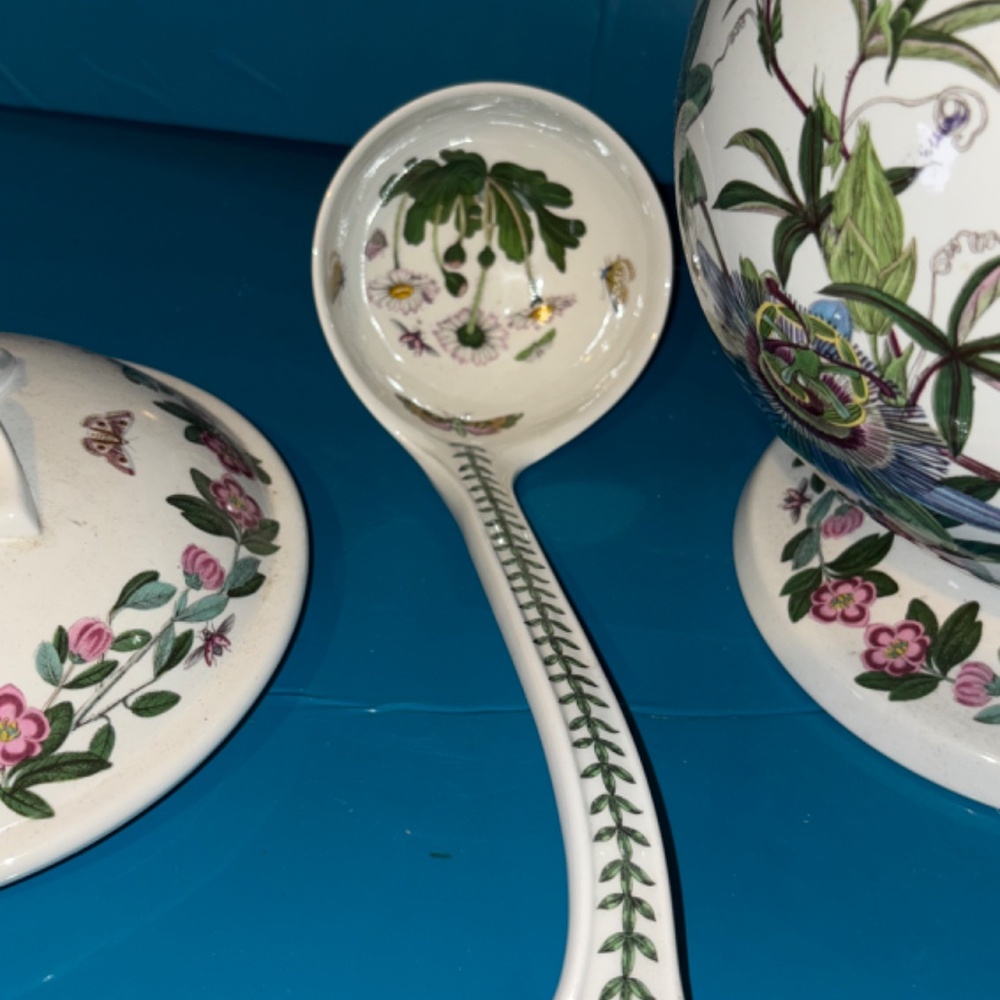 Portmeiron Botanic Garden Soup Tureen and Ladle - Picture 7 of 8
